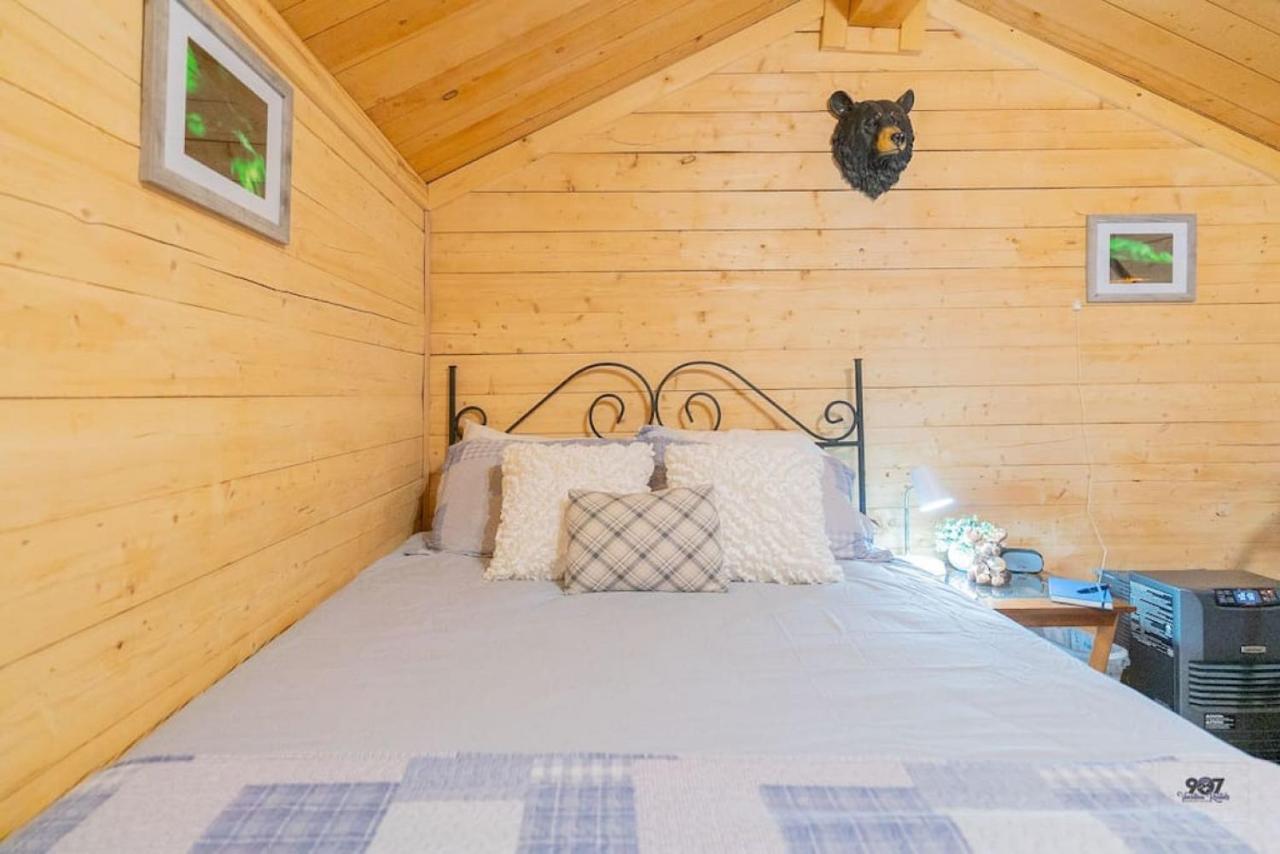 Studio Log Dry Cabin| Aurora Views! Fairbanks Eksteriør bilde
