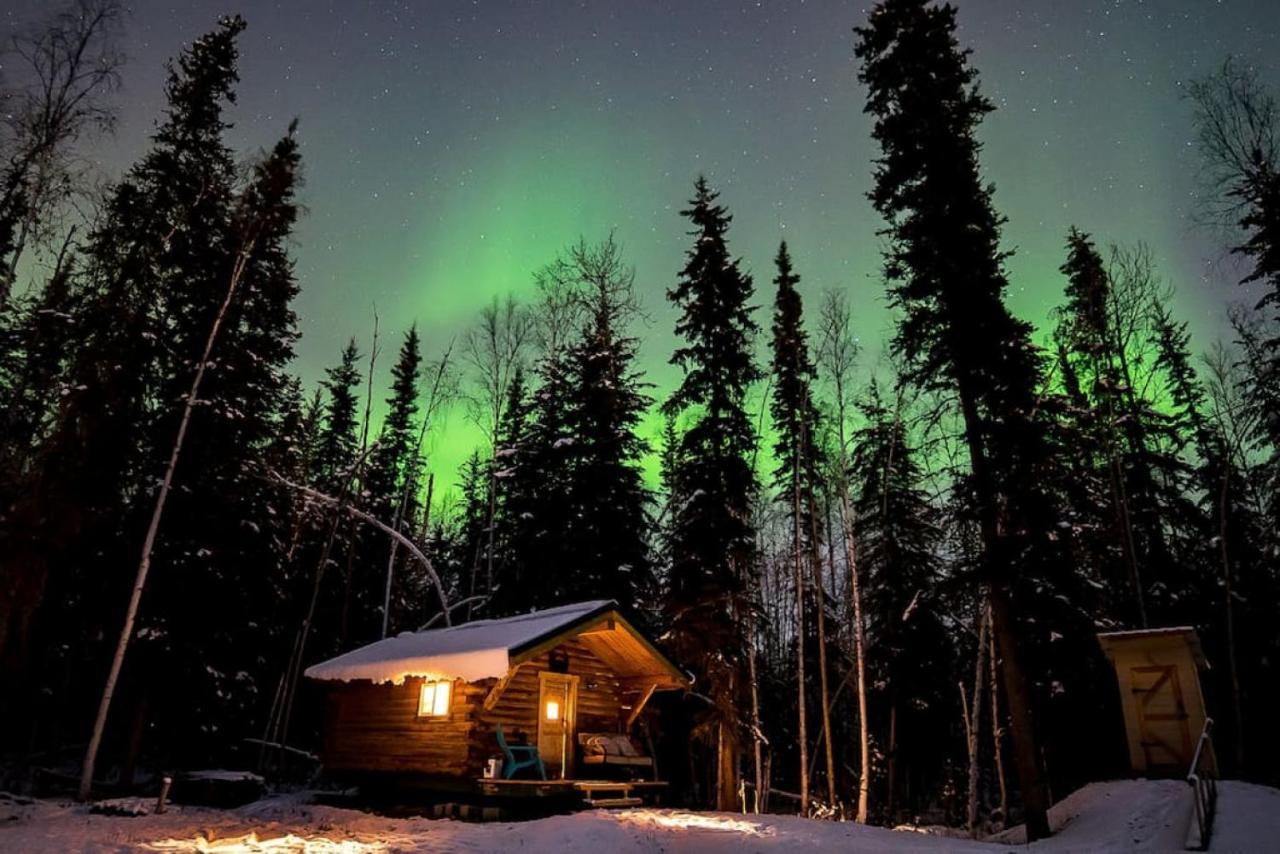 Studio Log Dry Cabin| Aurora Views! Fairbanks Eksteriør bilde