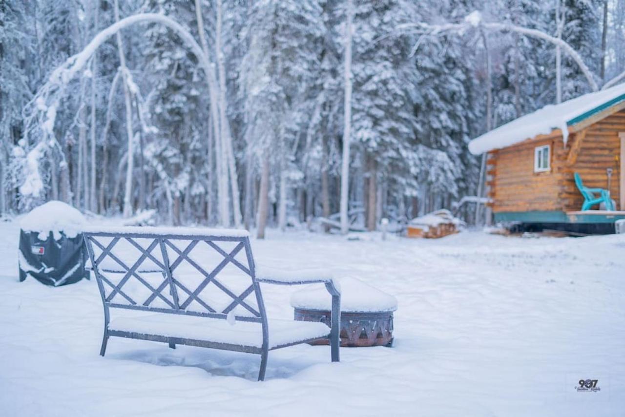 Studio Log Dry Cabin| Aurora Views! Fairbanks Eksteriør bilde